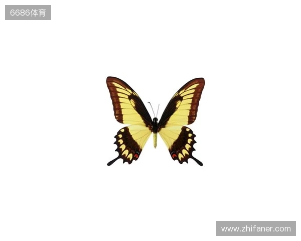 破茧成蝶:Legacy如何登顶南美、跻身世界顶尖行列 破茧成蝶:Legacy如何登顶南美、跻身世界顶尖行列